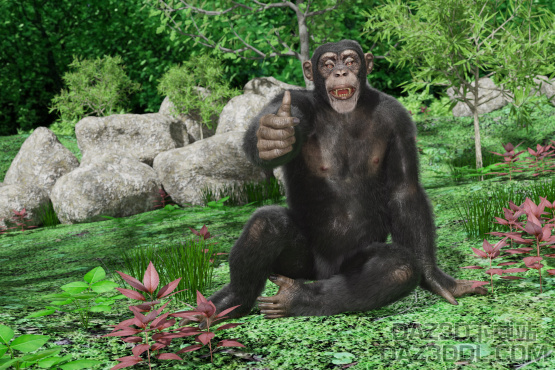 点赞贴：本站功能增强落实迅速，发图赞一个！_DAZ3D下载站