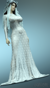 漂亮的婚纱_DAZ3D下载站