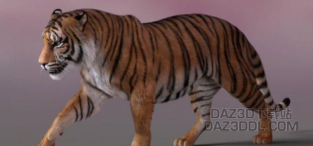 求老虎 基础模型在哪里下载_DAZ3D下载站