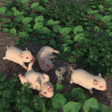 来   个   小   清   新_DAZ3D下载站