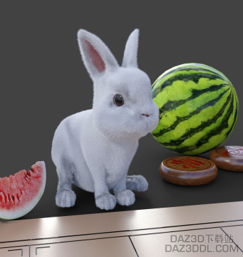 吃瓜兔——你俩谁白谁先走_DAZ3D下载站