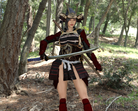 日本战国武士立花訚千代_DAZ3D下载站