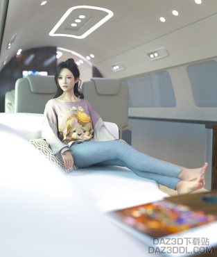 在飞机上_DAZ3D下载站
