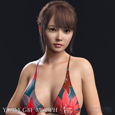 这个怎么安装_DAZ3D下载站