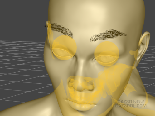 为什么用New standed based hair自制的眉毛_DAZ3D下载站