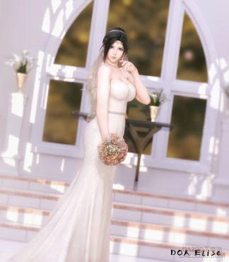 DOA ELISE----丰腴的新娘_DAZ3D下载站