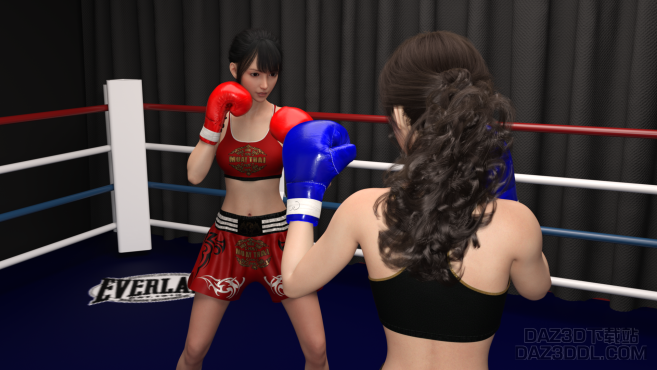 室内拳赛_DAZ3D下载站