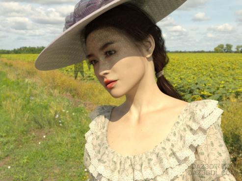 向日葵田_DAZ3D下载站