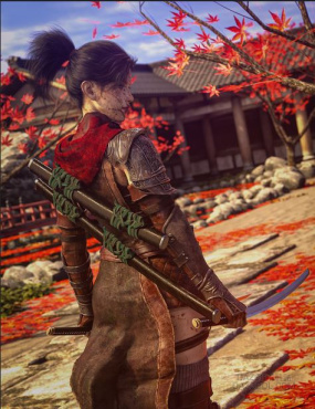 【转载】影武者_DAZ3D下载站