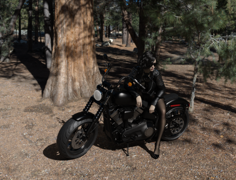 昨天上头做的，结果币没了，希望大家支持_DAZ3D下载站