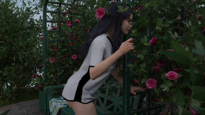 鸟语花香_DAZ3D下载站