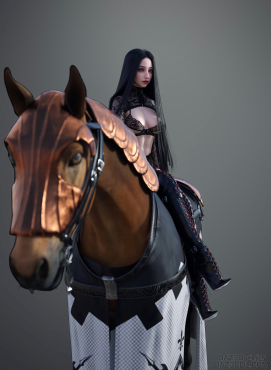 骑士_DAZ3D下载站