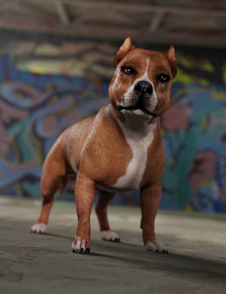 8号达兹犬的恶霸