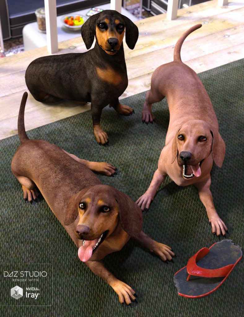 达兹犬:腊肠犬