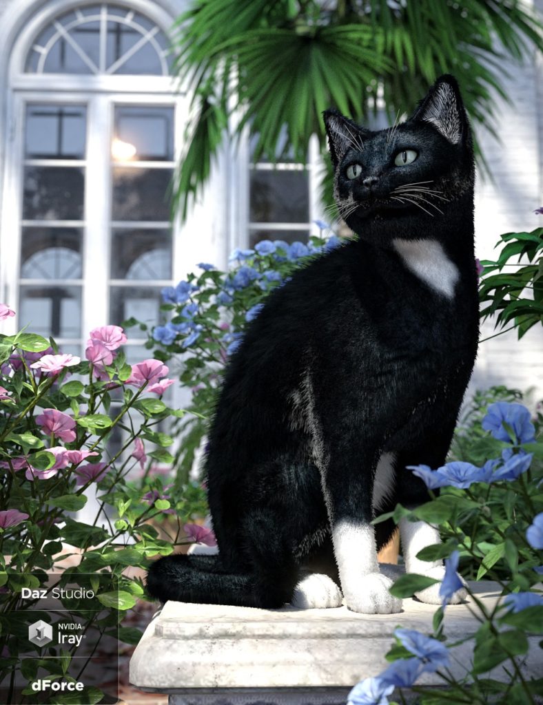 dForce毛Daz家猫