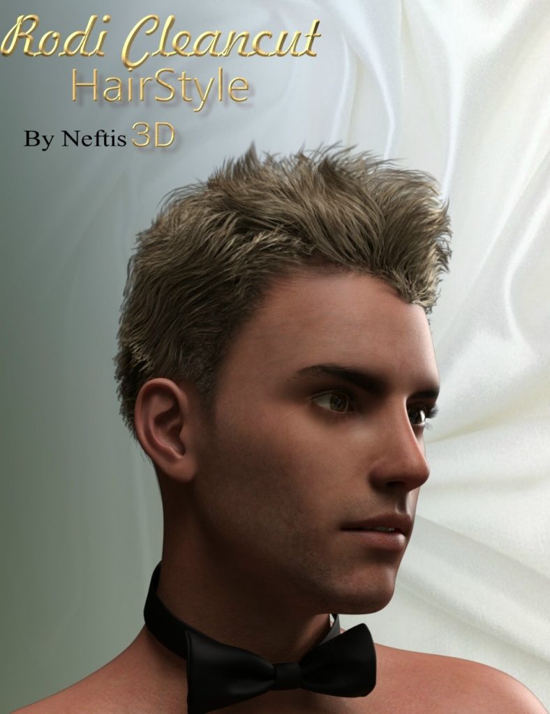 Rodi Clean Cut Hair Style for Genesis 3 Male(s)