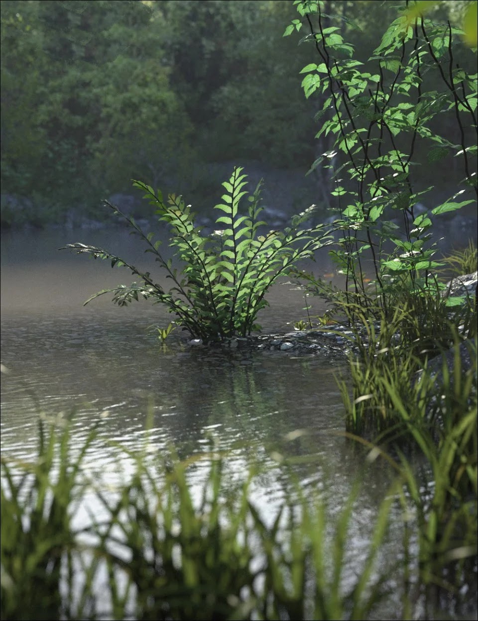 蕨类植物湖包