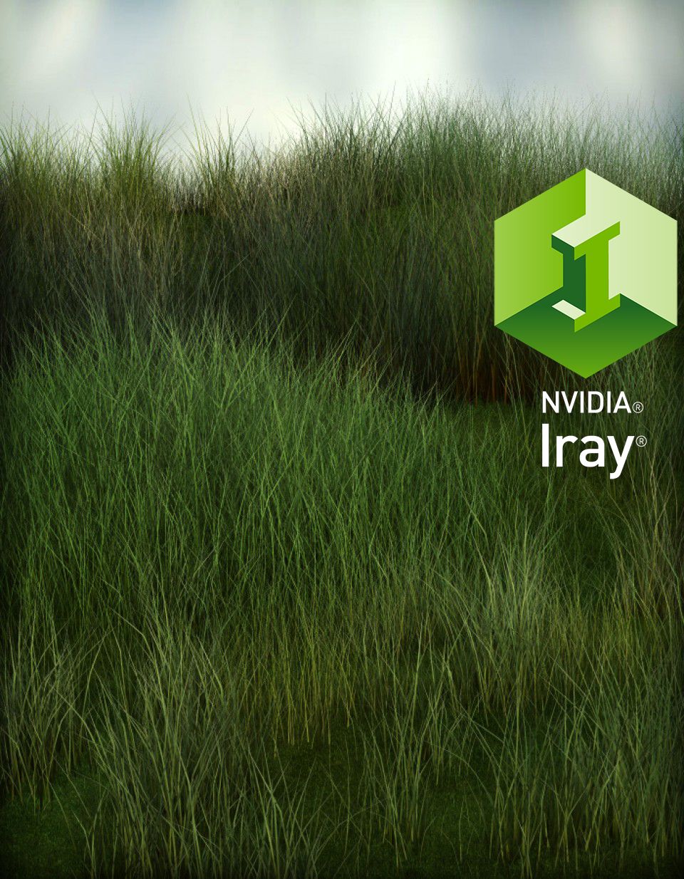 草地巨型背包- Iray更新