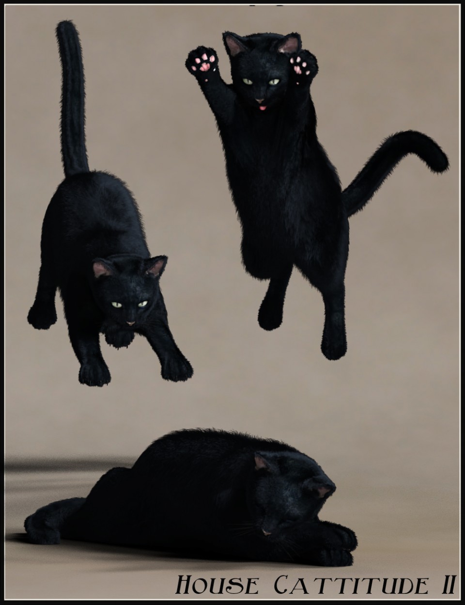 房子Cattitude二世