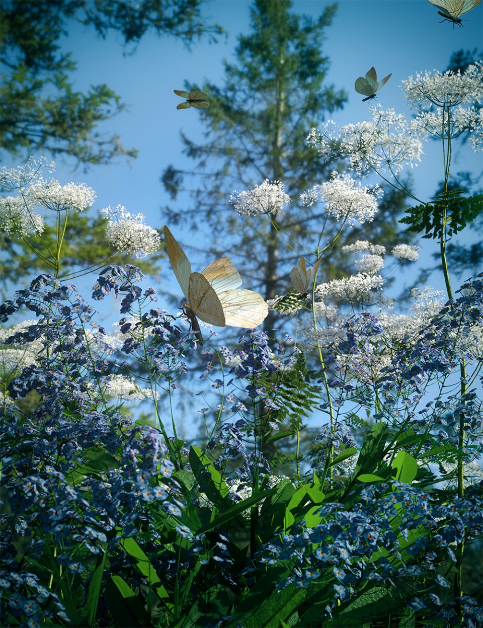 Daz工作室的林地野花植物