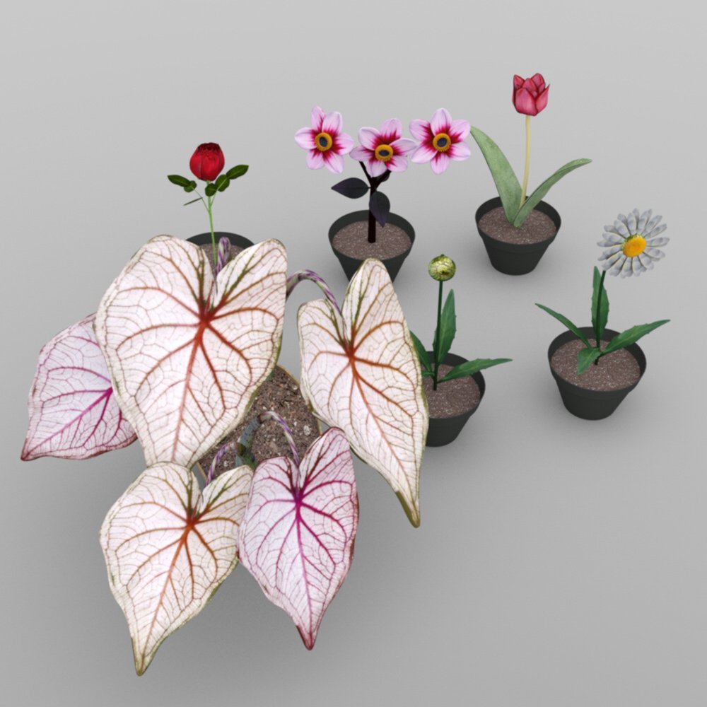 DAZ工作室的植物设置2