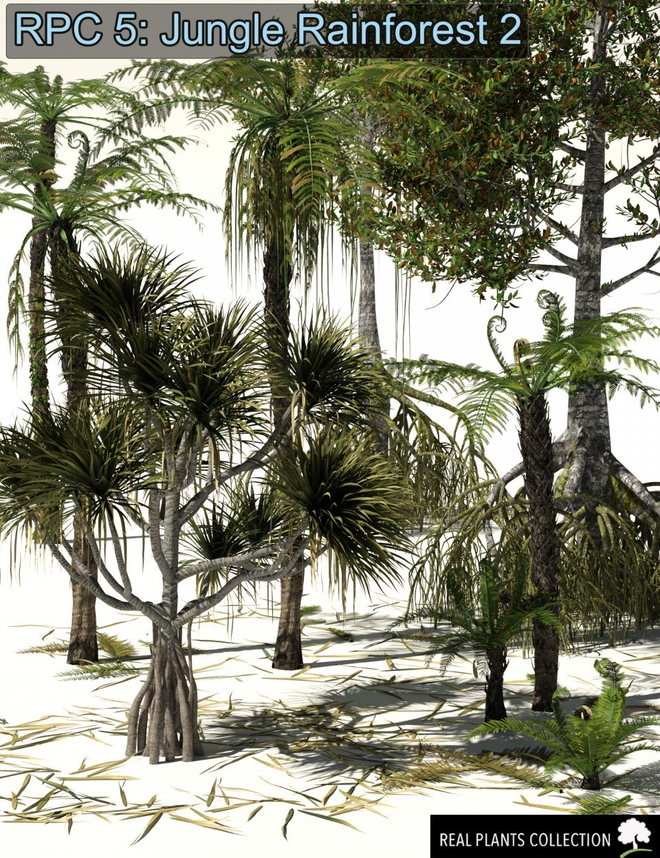 RPC Volume 5: Jungle Rainforest 2 for Daz Studio和Vue