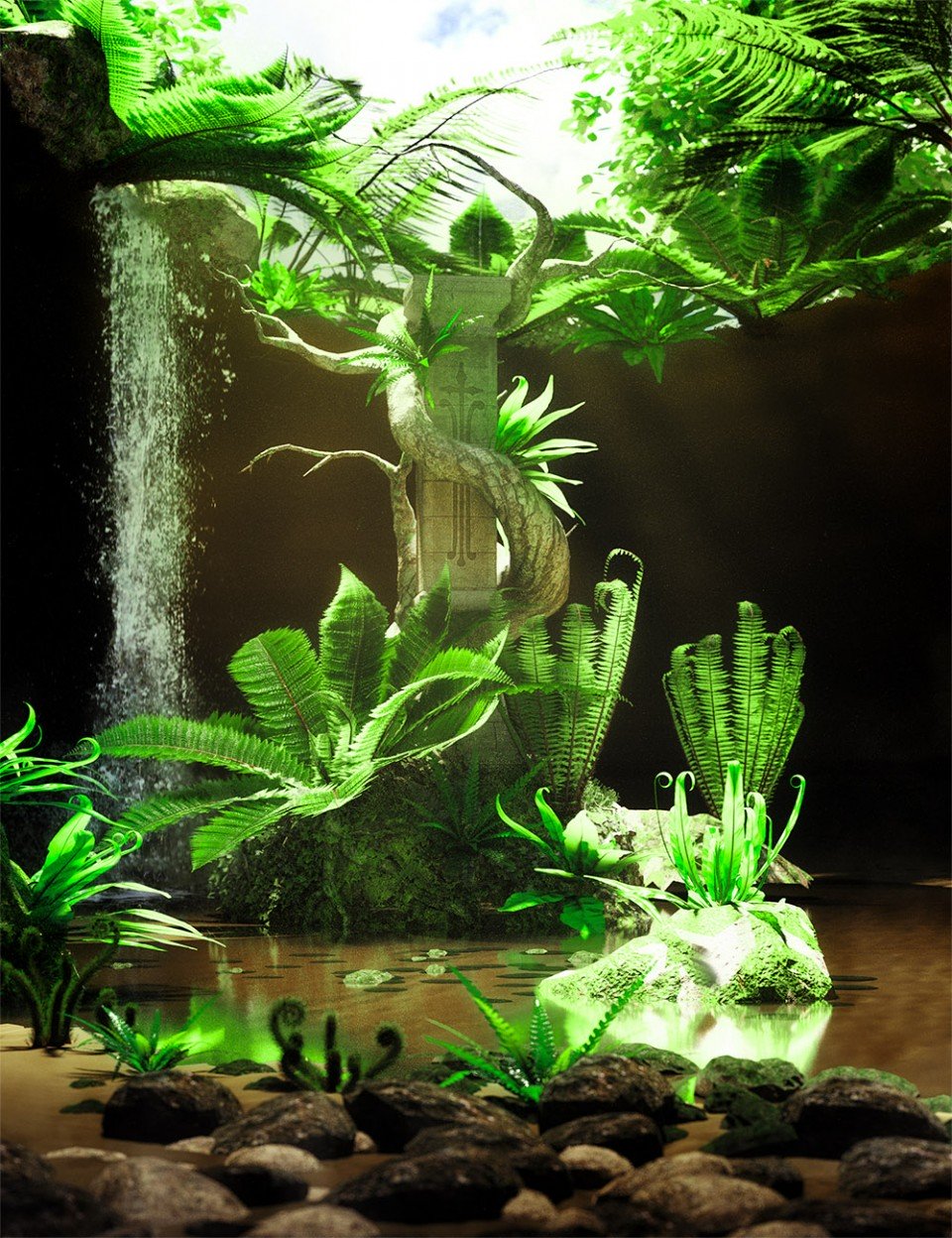 野生植物-野生蕨类第一册