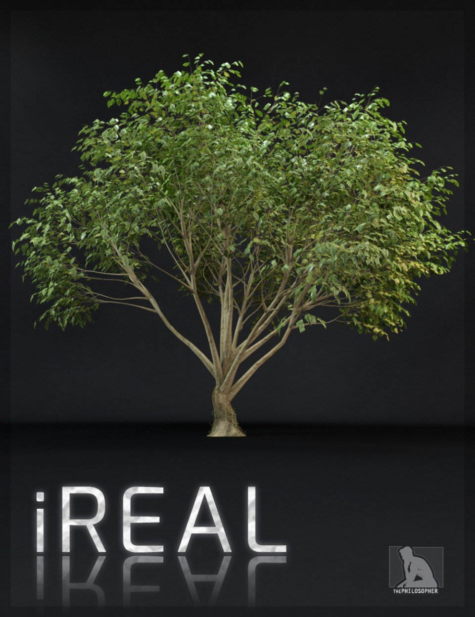iREAL动画杂交树
