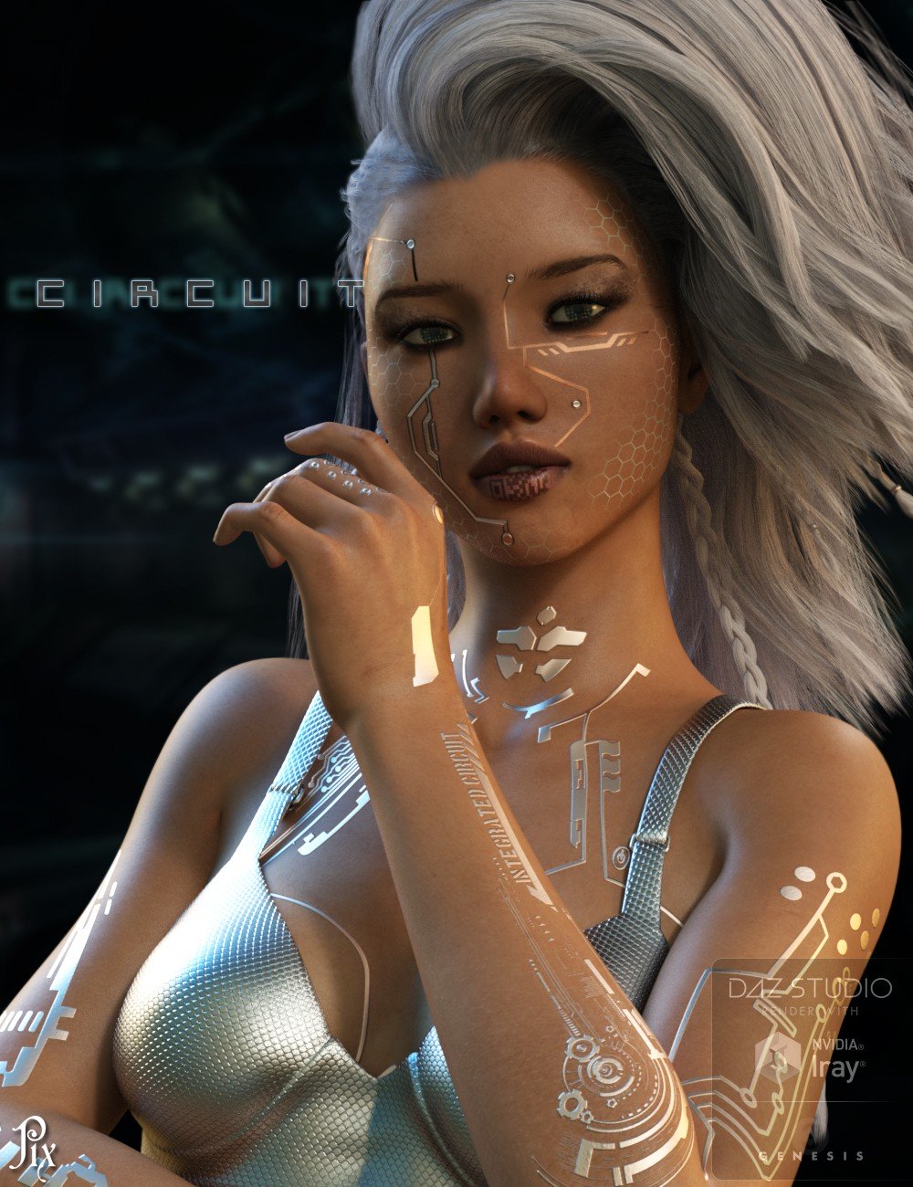 为创世纪3女性的Pix电路