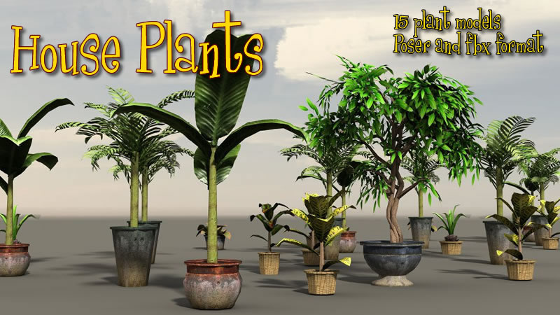 房子的植物