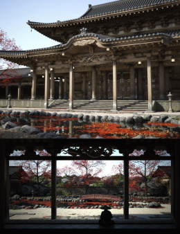 顶级场景_DAZ3D下载站