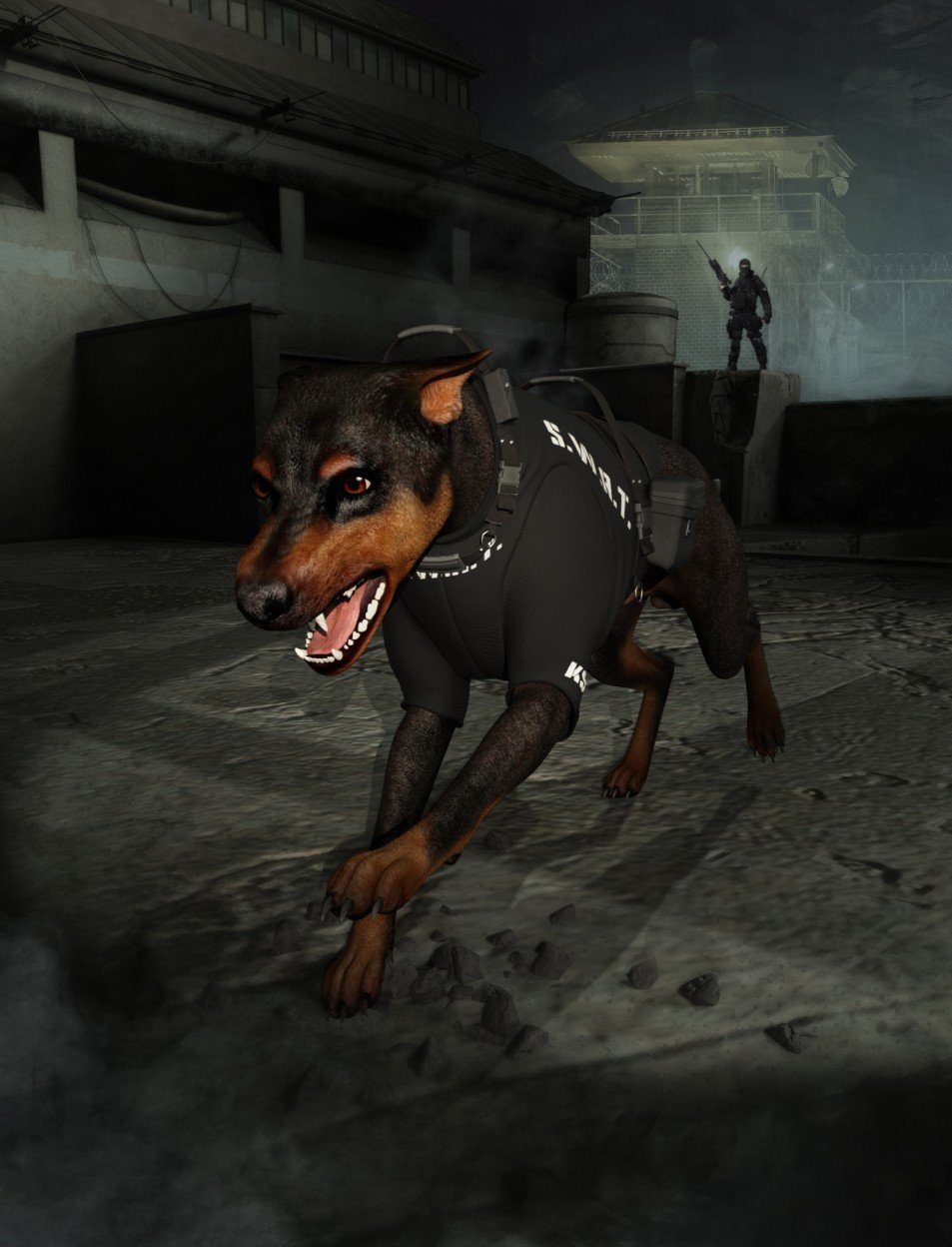 Daz Dog 8服务背心