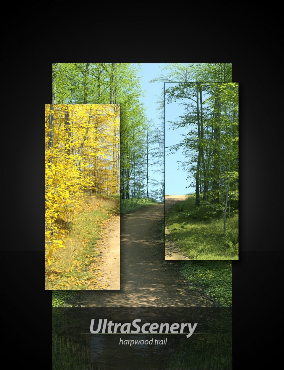 UltraScenery - Harpwood Trail