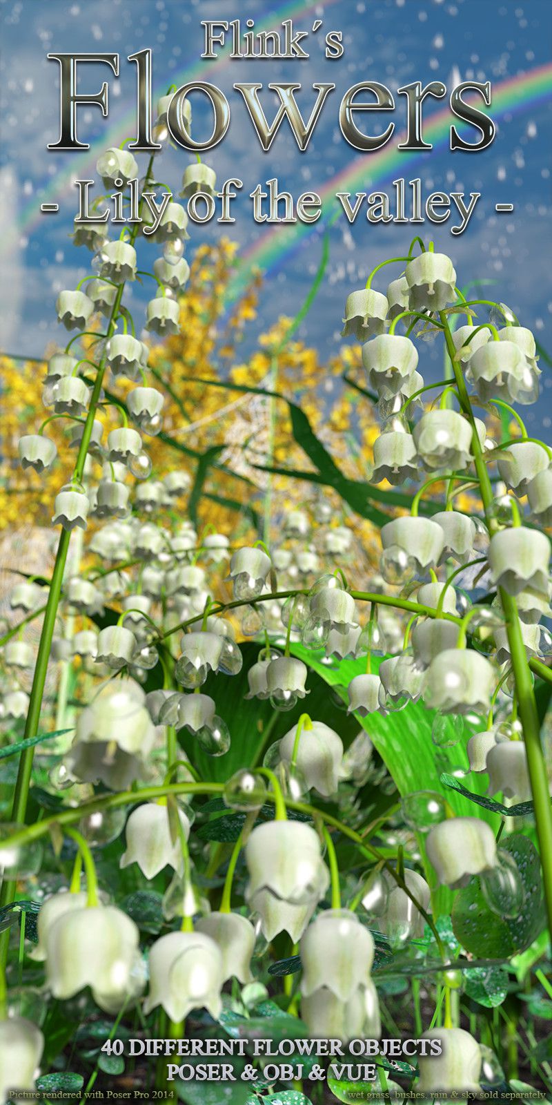 燧石花-山谷中的百合花