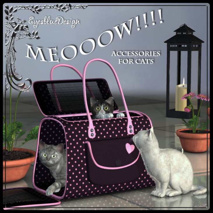 Meooow !