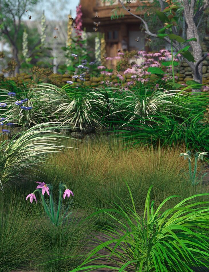 Daz工作室的观赏草植物和组