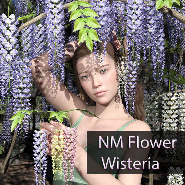 纳米花紫藤